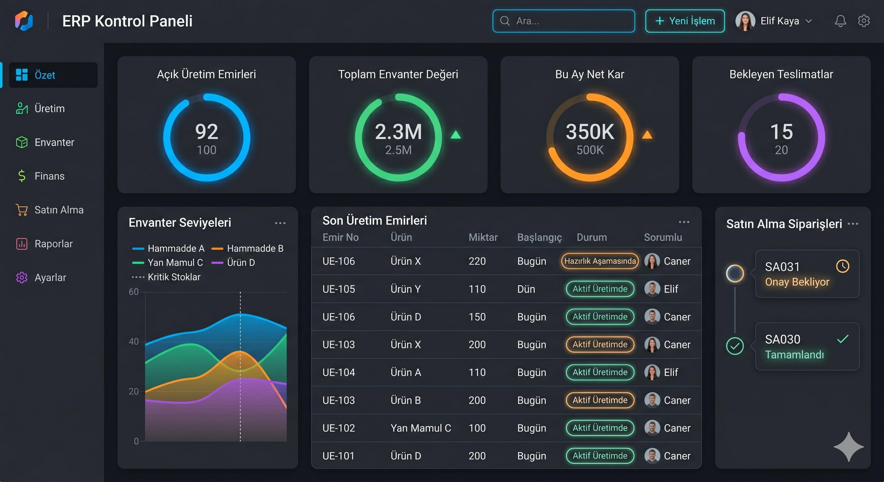ERP Sistemi Örneği